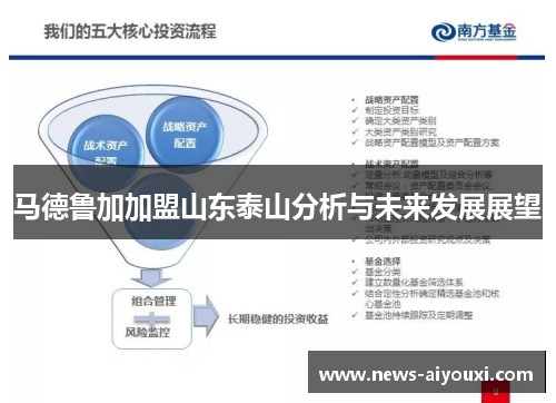 马德鲁加加盟山东泰山分析与未来发展展望