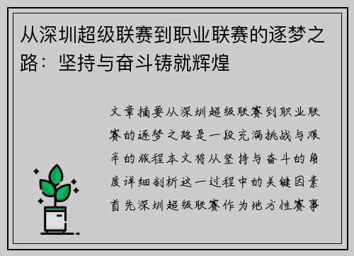 从深圳超级联赛到职业联赛的逐梦之路：坚持与奋斗铸就辉煌