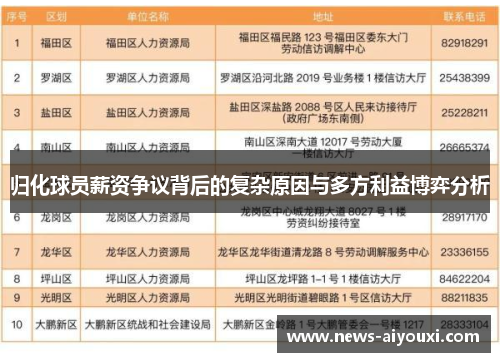 归化球员薪资争议背后的复杂原因与多方利益博弈分析