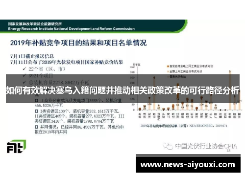 如何有效解决塞鸟入籍问题并推动相关政策改革的可行路径分析